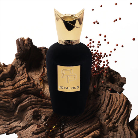 AYAT PERFUMES – Vaporisateur de Parfum d'Intérieur – Oud Royal – 500ml